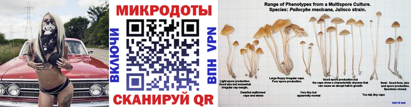 Псилоцибиновые грибы ЛСД  цены   Починок 